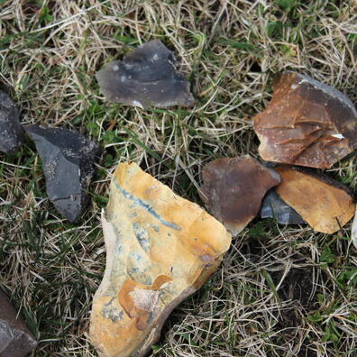 Øjenåbner til Stenalderen