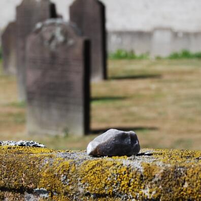 Eleverne undersøger gravpladserne for symboler og som kilder.