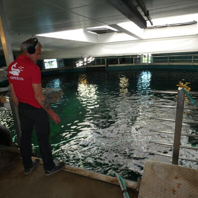 Medarbejder oven for Oceanariet