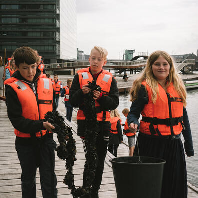 Skolen i Sydhavnen har netop hevet et par fuldvoksne muslingestrømper op. 