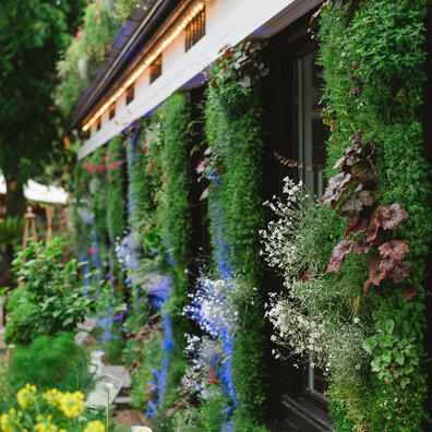 Der dyrkes grøntsager i Kilden i Havens egen køkkenhave.