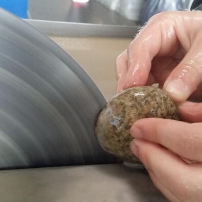 Elev saver sten over geologi