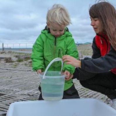 naturcenter Amager strand