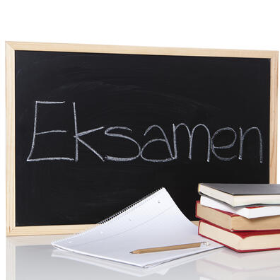 Mundtlig dansk-eksamen