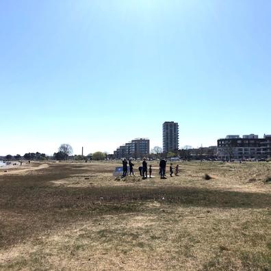 Naturcenter Amager Strand