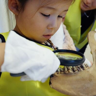 Arkæologisk undersøgelse i børnehaven