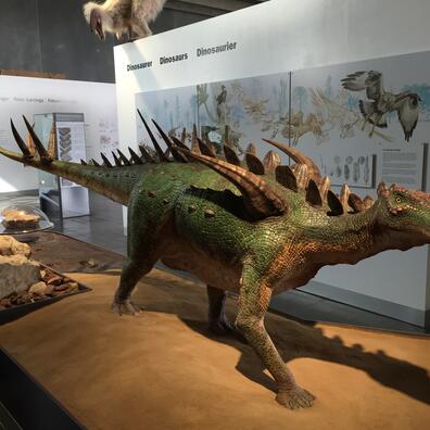 Dinosaurerne gik her