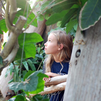 Oplev evolutionen i væksthusene