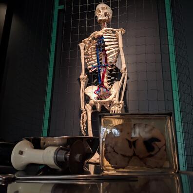 Naturvidenskab i virkeligheden