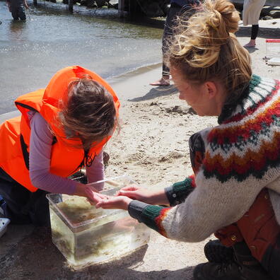 Undersøgelse af livet i Østersøen - helt tæt på
