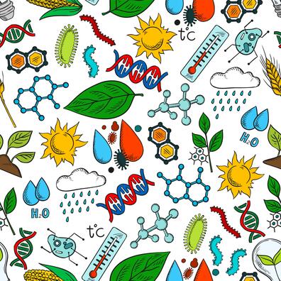 skoven som økosystem