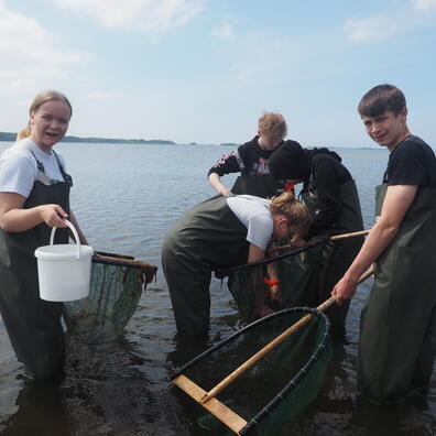 Undersøgelse af fjordens dyreliv