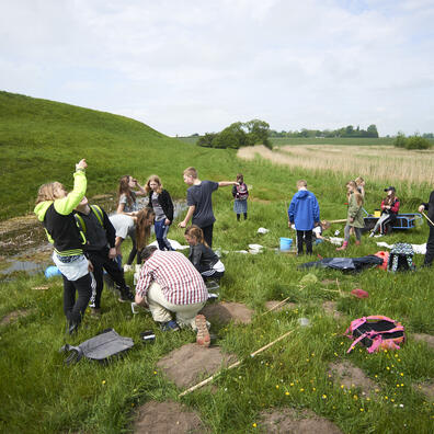 Der kigges efter insekter i Trelleborgs voldgrav