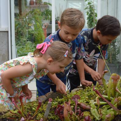 Børn kigger på planter