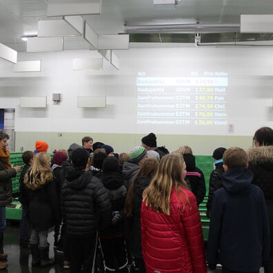 Skoletjenesten forklarer pristavlen på fiskeauktionen