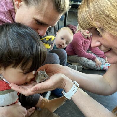 Hvordan lugter en mus?