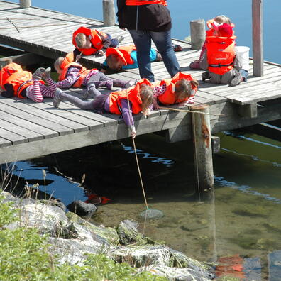 Børn fisker efter krabber