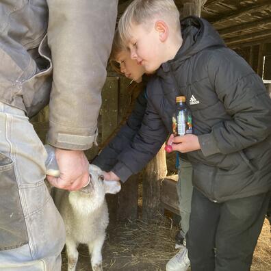 Elever aer lam, der får flaske