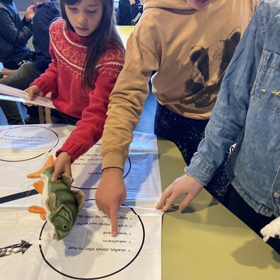 Elever placerer dyrefigurer på en evolutionsdug. 