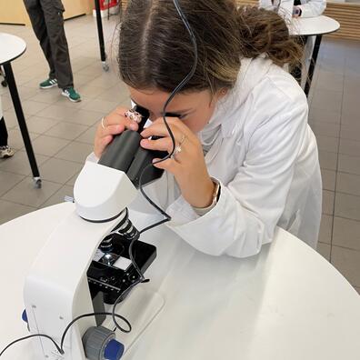 Med 100 og 400 gange forstørrelse kan man pludselig se liv i en dråbe vand