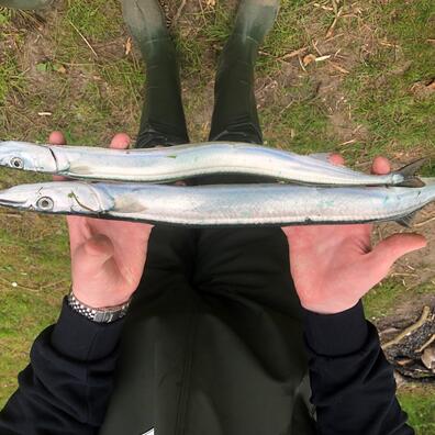 8. klasses elev første fangede fisk nogensinde. 