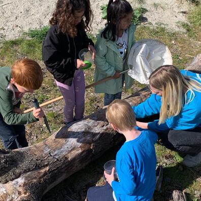 Krible-krable fangst