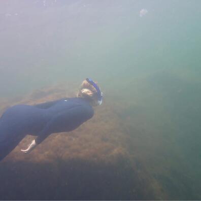 I våddragt under overfladen kan vi rigtigt mærke havets kræfter