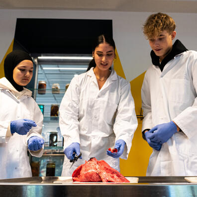 De unge skal dissekere i værkstedet