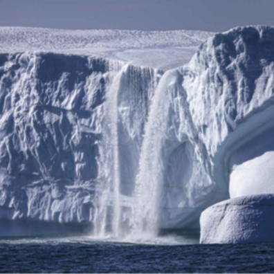 Isfjelde kælvet fra Kujalleq Gletsjer