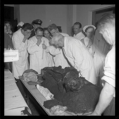 Grauballemanden undersøges