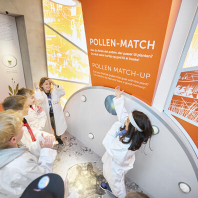 Hvad kan pollen lære os om fortiden?