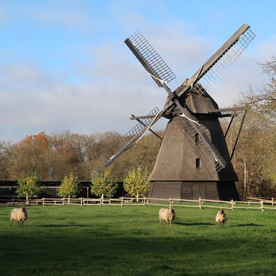 Undervisningsforløbet foregår i Den Fynske Landsby