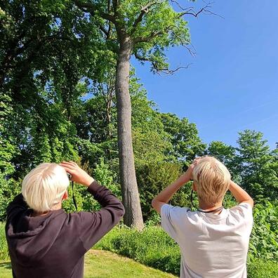 Elever med kikkerter 