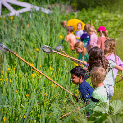 Elever fanger vanddyr. 