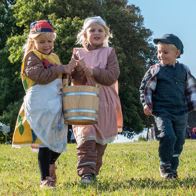 Vander koen - vander hesten.