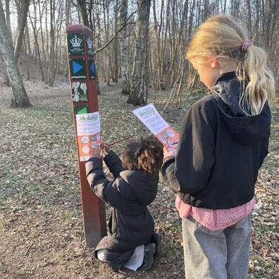 Den Store Medaljejagt i Frederiksværk