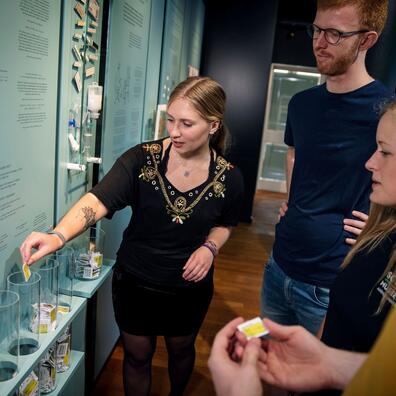 Unge diskuterer sundhedsprioriteter