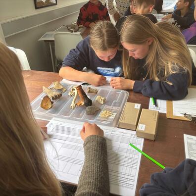 Skoletjenesteforløb