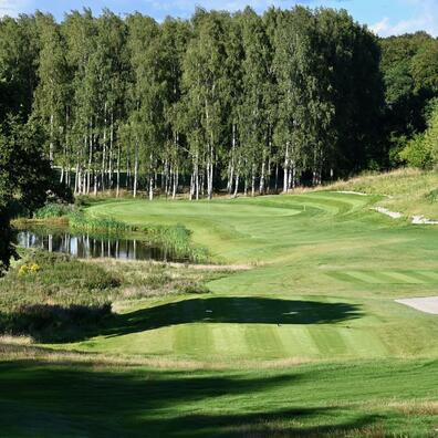 Et billede af naturen omkring golfbanen.