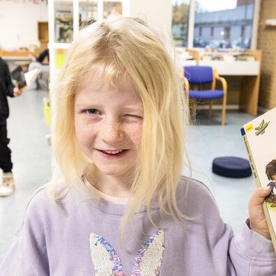 Danmarks Hemmeligste Historie